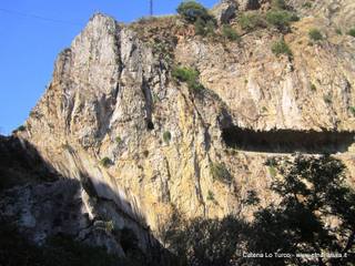 stoleone-31-08-2015 09-08-45